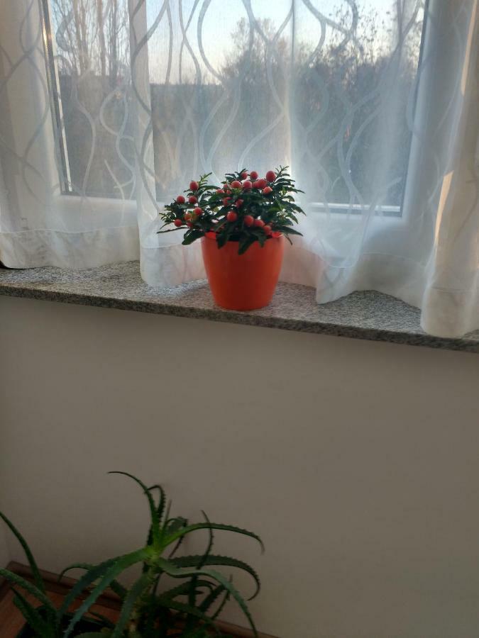 Meridian Apartment , 300M To Bus Terminal, Fast Wifi & Airport Transf Zagreb Exteriör bild